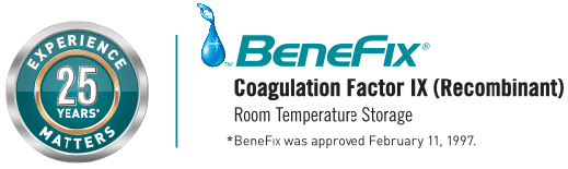 benfix logo