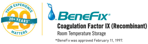 benfix logo